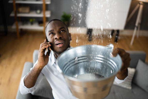 Best Fire Damage Restoration  in River Ridge, FL