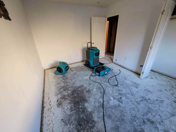 Best Water damage restoration near me  in River Ridge, FL