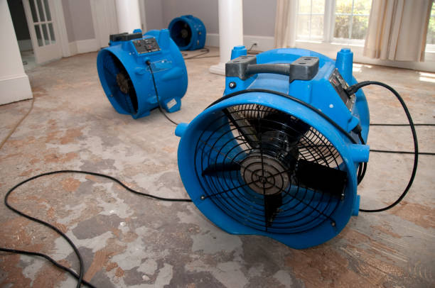 Best Water damage contractors near me  in River Ridge, FL